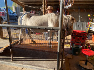 img-1064_orig
