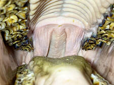 img-3248