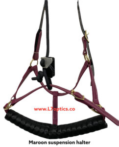 photoroom-20211216-221104_orig